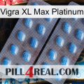 Vigra Xl Max Platinum viagra4